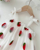 Baby Girl Strawberry Embroidered Mesh Strap Dress