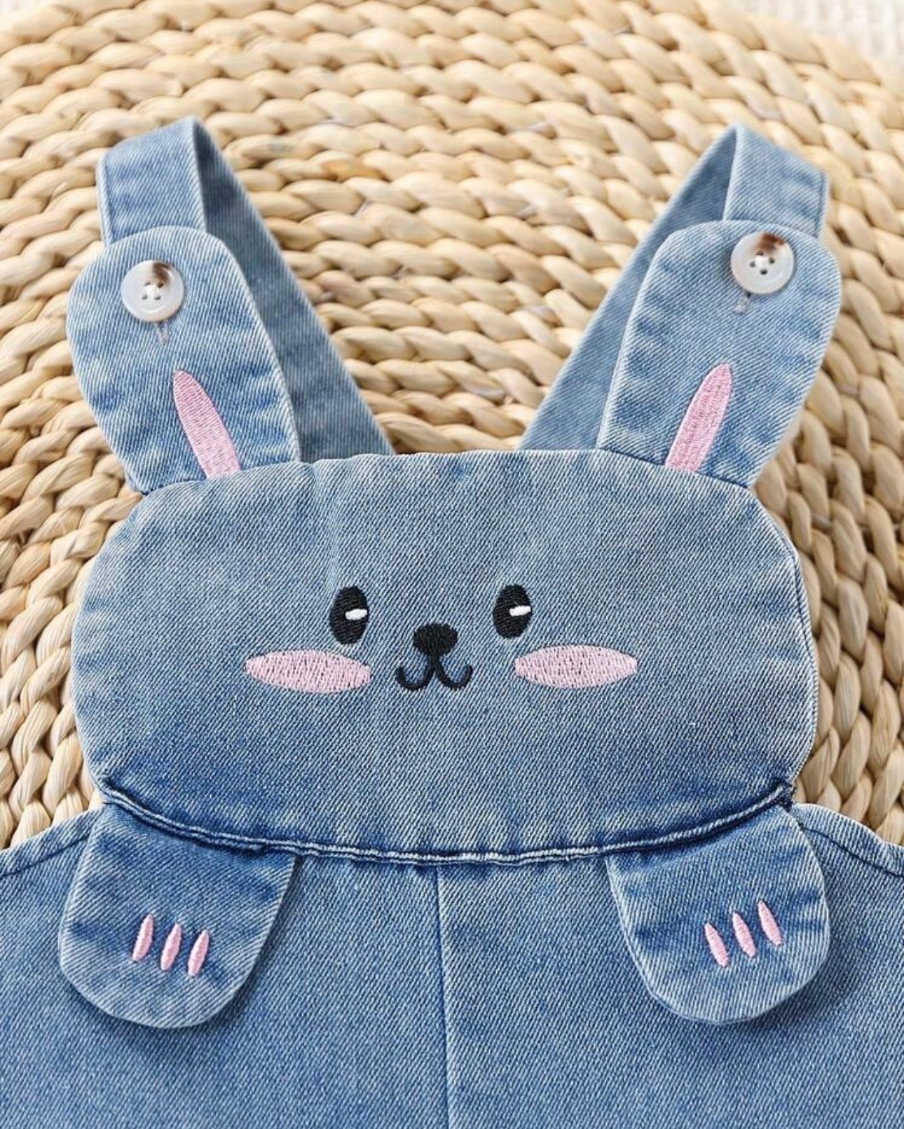 Baby Girl Embroidered Denim Jumpsuit