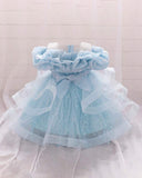Girls Ice Blue Sequin Mesh Tutu Princess Dress