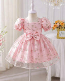 Baby Girl Pink Mesh Floral Puff Sleeve Princess Dress