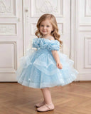 Girls Ice Blue Sequin Mesh Tutu Princess Dress