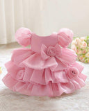 Baby Girls Puff Sleeve Floral Organza Dress