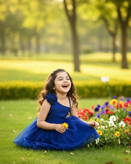 Elegant Blue Color Birthday Party Princess Dress