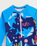 Boys Blue Dolphin Print Long Sleeve One-Piece Swimsuit