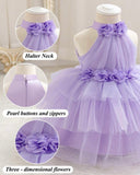 Girls Floral 3D Decor Sleeveless Tulle Purple Dress