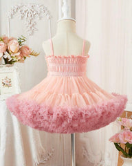 Pink Baby Girl Luxurious Ballet Sleeveless Party Dress – Spring / Summer