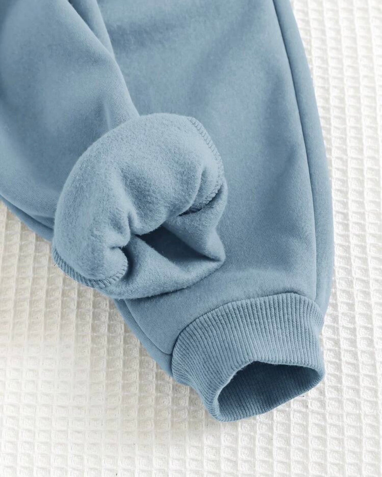 2pcs Baby Boy Bear Round Neck Hoodie And Dusty Blue Pants Set