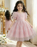 Baby Pink Embroidered Puff Sleeve Tulle Dress for Girls