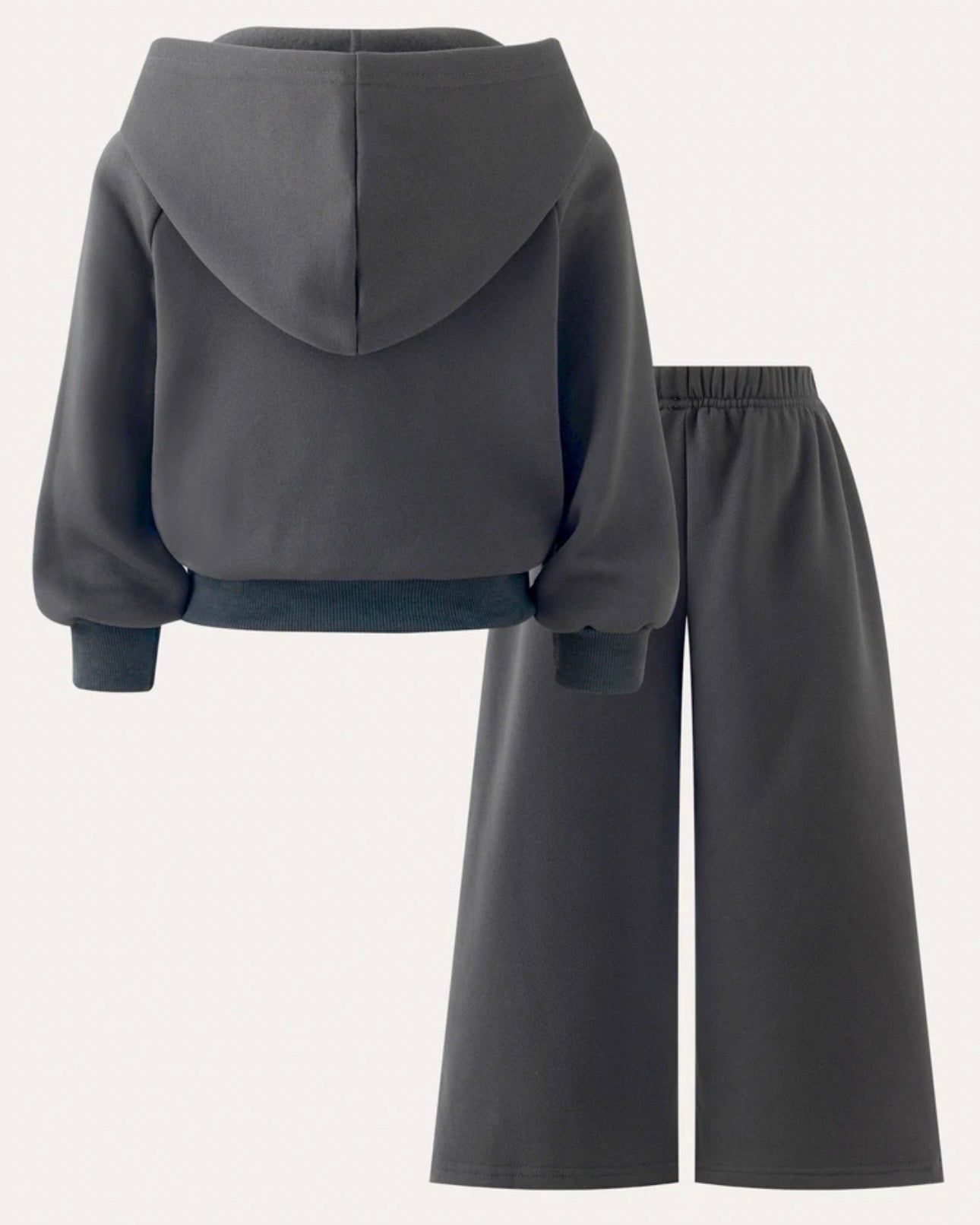 2pcs Girls Grey Color Sweatshirt And Pants Set