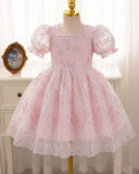 Baby Pink Embroidered Puff Sleeve Tulle Dress for Girls