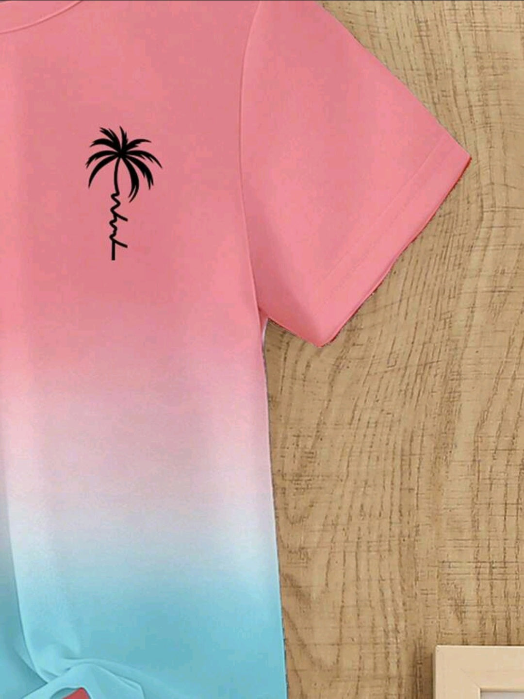 Baby Boy Gradient Coconut Tree Print T-Shirt & Shorts 2pcs Set