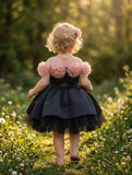 Baby Girls 3D Floral Black Princess Dress